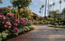 The Gardens