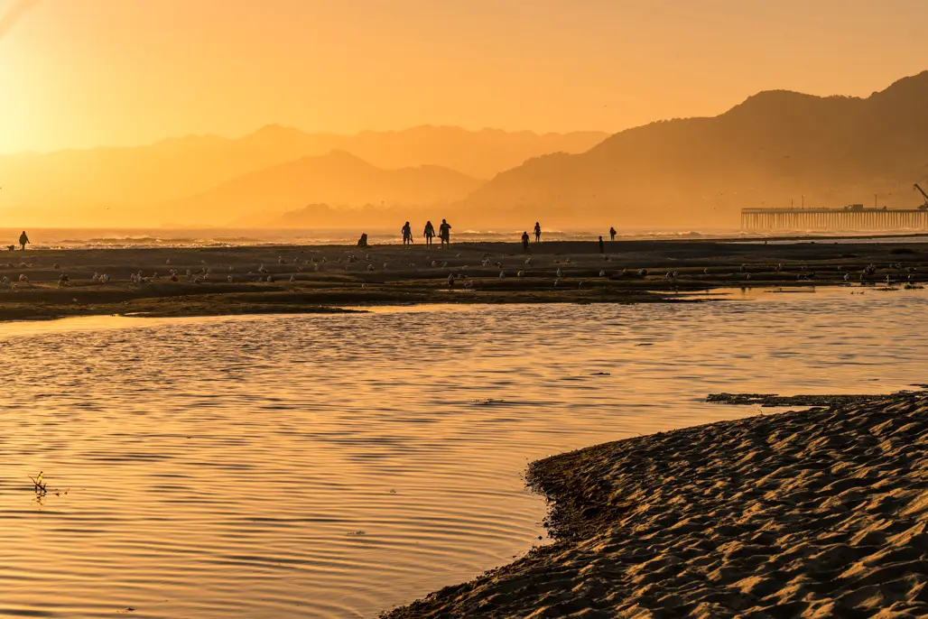 Wander Pismo