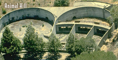 Arial photograph of the cages at Hearst Castle Zoo